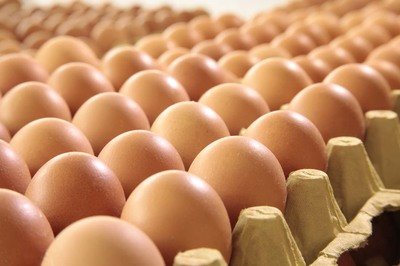 甘肃鸡蛋检测价格,鸡蛋检测机构,鸡蛋检测项目,鸡蛋常规检测